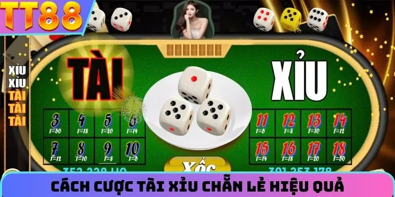 Tổng hợp cách cược tài xỉu chẵn lẻ thành công