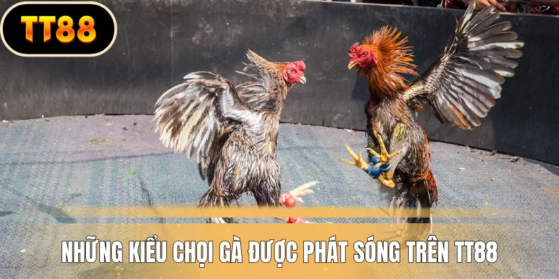 Những kiểu chọi gà được phát sóng trên TT88