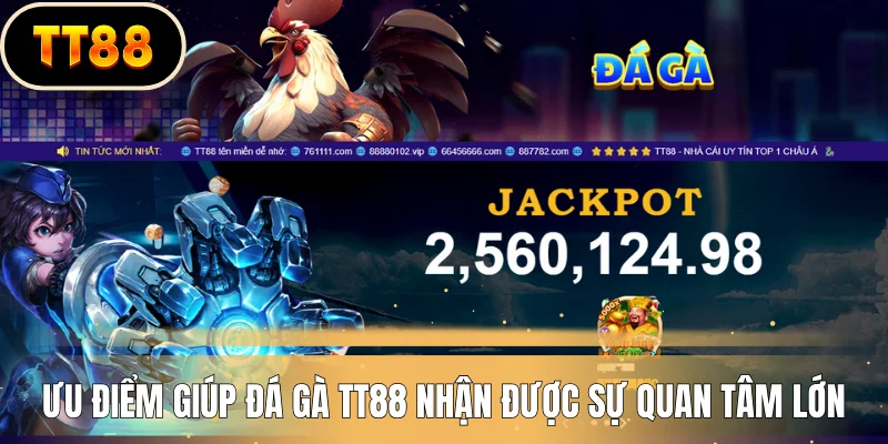 Ưu điểm giúp đá gà TT88 nhận được sự quan tâm lớn