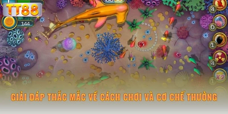 Giải đáp thắc mắc về cách chơi và cơ chế thưởng